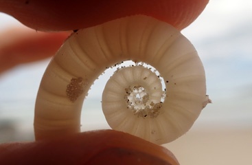 PA280829a.jpg